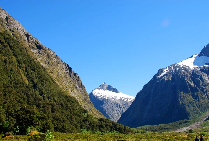 紐西蘭人口結構