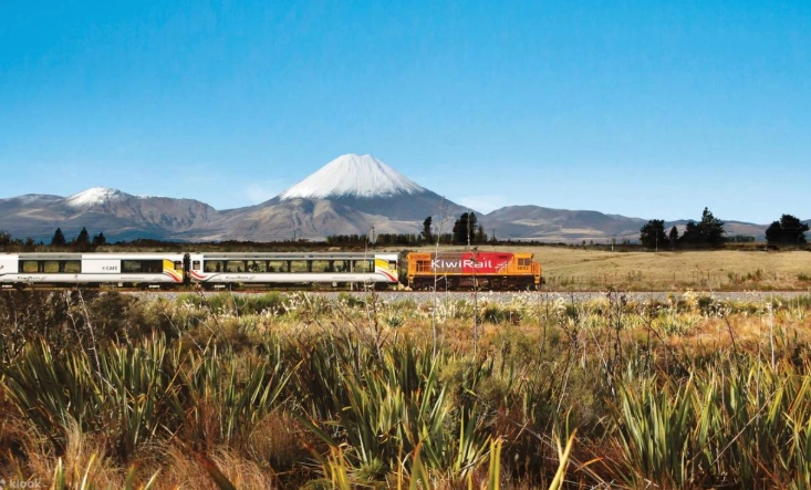 奧克蘭威靈頓旅行