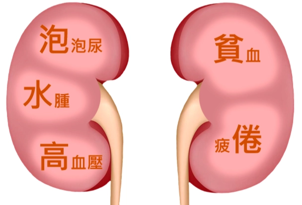 腎臟病第四期治療