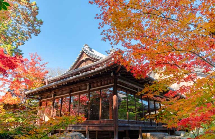 冬天旅遊南禪寺