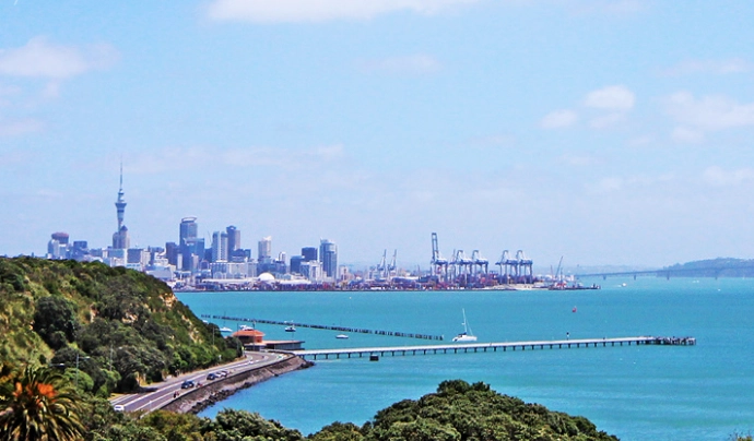 紐西蘭 開車 規定