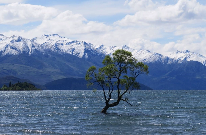 紐西蘭租車安全
