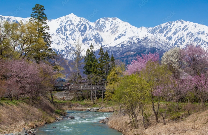 大出公園 交通方式