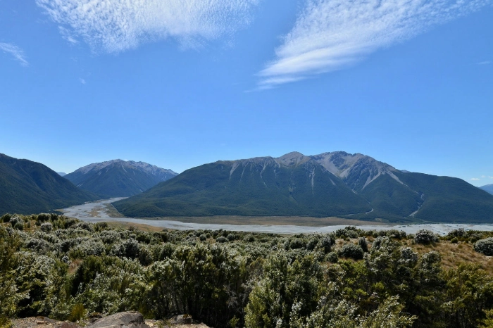 紐西蘭 租車 駕照
