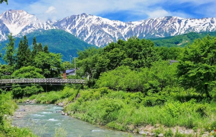 大出公園 交通方式