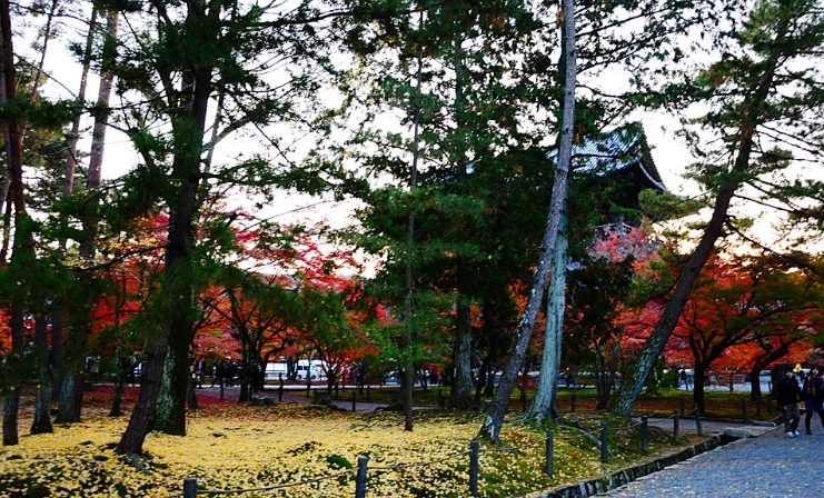南禪寺紅葉