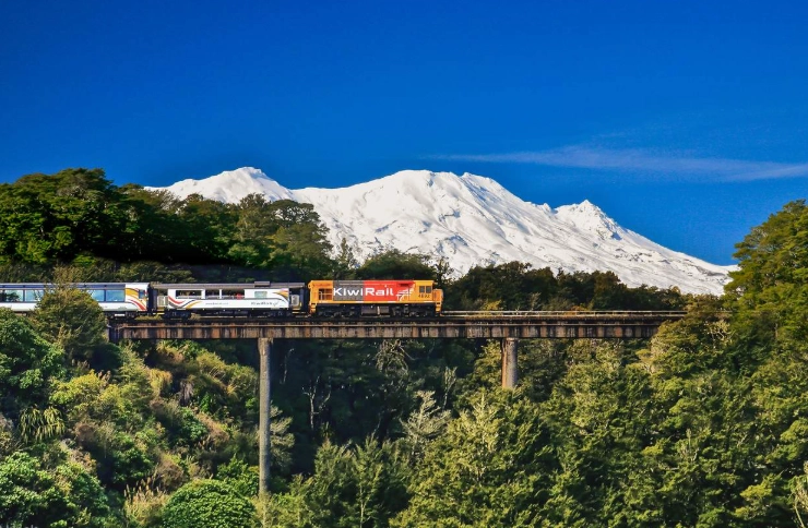 紐西蘭北島交通