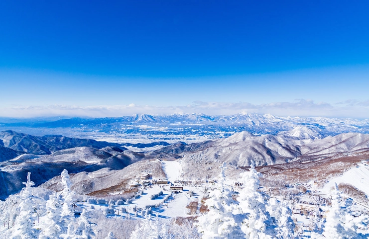 長野冬天自由行