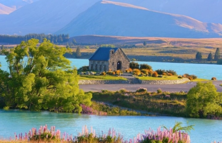 紐西蘭 租車 駕照