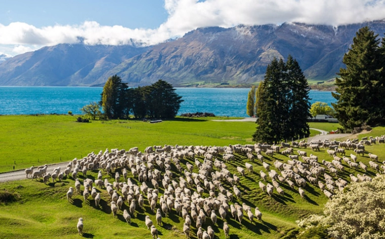 紐西蘭國內旅遊攻略