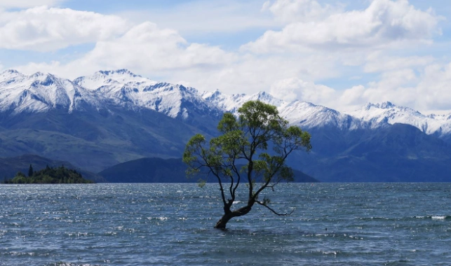 紐西蘭旅遊預算