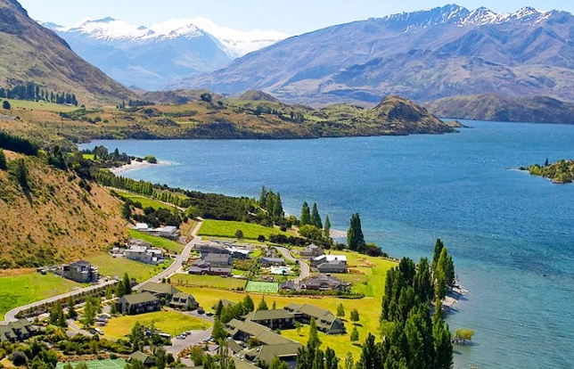 紐西蘭 國際駕照