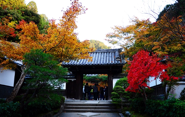 南禪寺紅葉