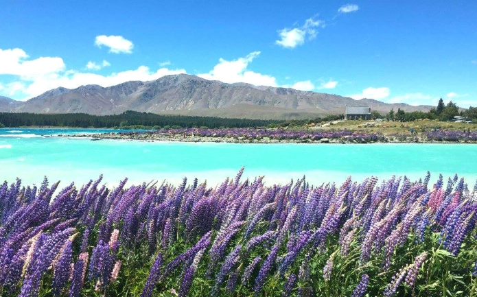 紐西蘭旅遊準備