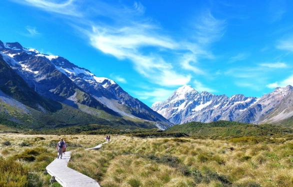 紐西蘭路費支付