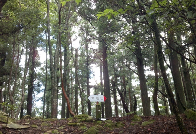 大塔山登山申請