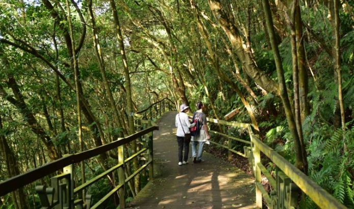 小溪頭環狀步道步行時間