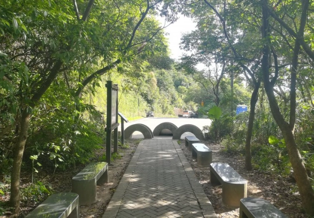 台北親山步道