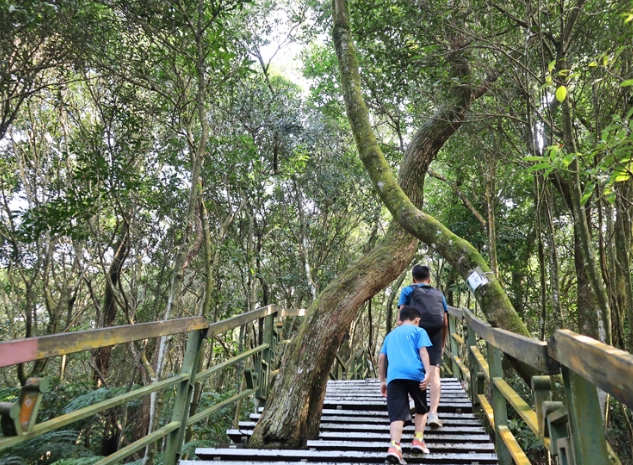 台北小溪頭交通