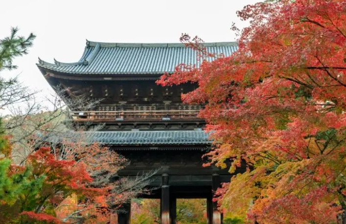 京都市巴士怎麼搭