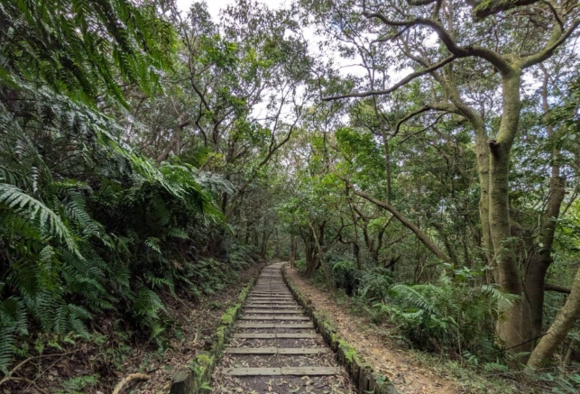 小溪頭環狀步道最佳時間