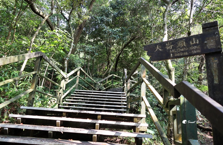 大崙頭森林步道難度