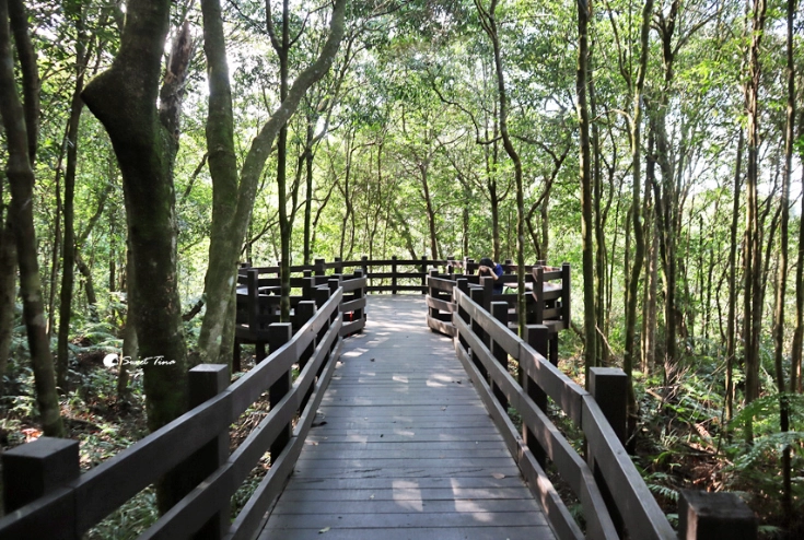 台北小溪頭步道