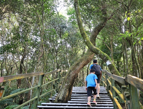 台北小溪頭一日遊