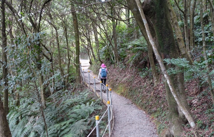 台北健行步道