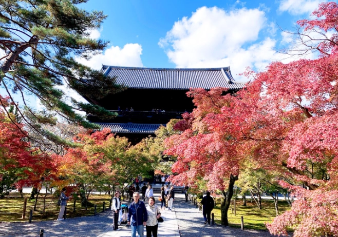 京都市巴士怎麼搭