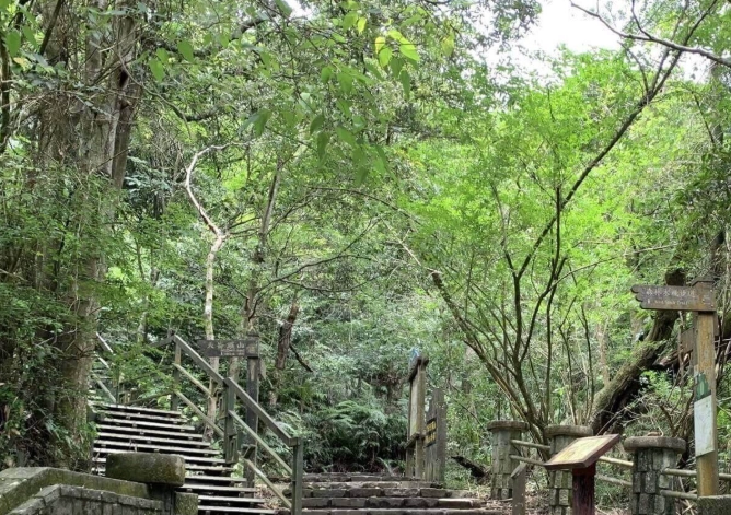 溪頭大崙頭山交通