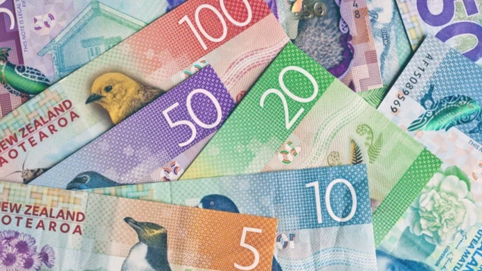 紐西蘭巴士現金付款