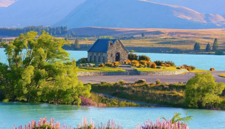 紐西蘭自駕費用