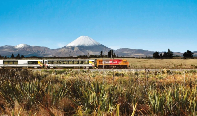 威靈頓公共交通