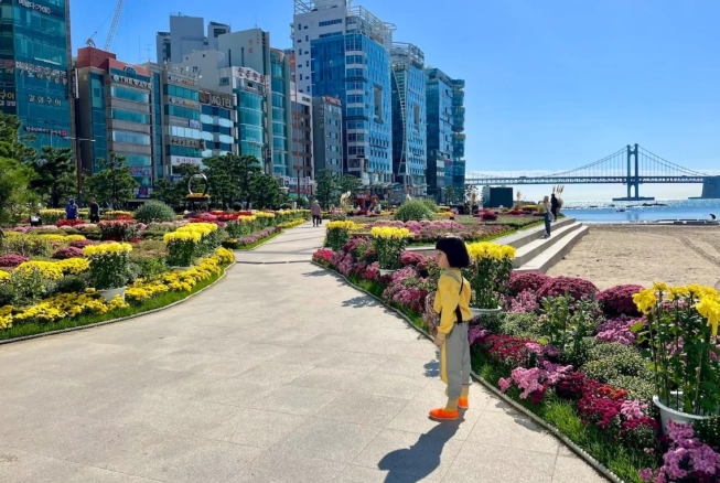 海雲台交通攻略