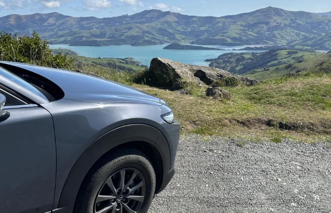 海外駕照過期處理