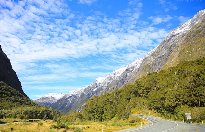 紐西蘭交通罰單查詢