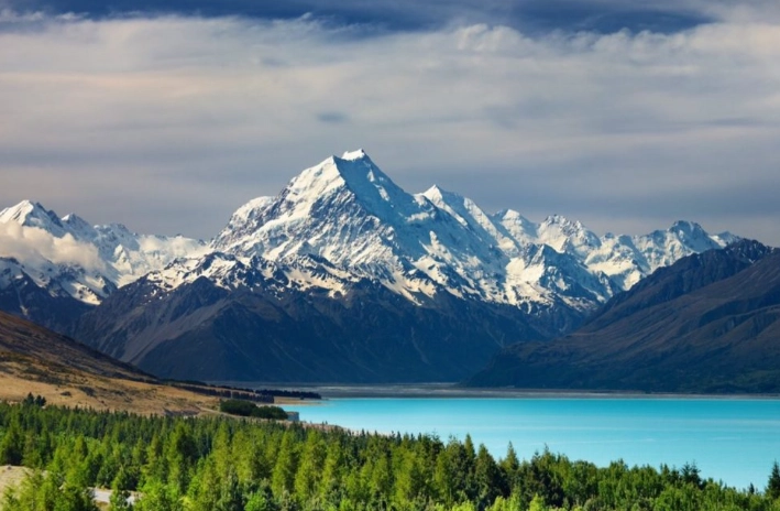 紐西蘭罰單線上繳費