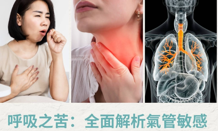 氣管保養食物
