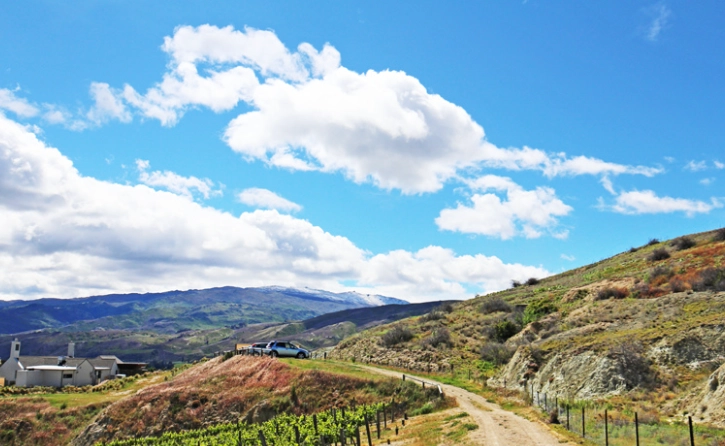 紐西蘭 海關 罰款