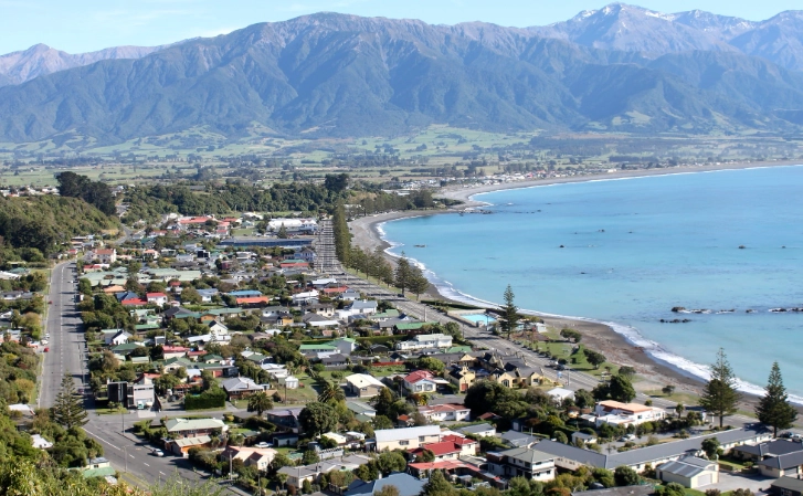 紐西蘭租車罰單處理