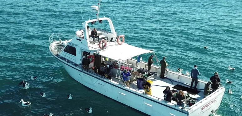 紐西蘭旅遊費用