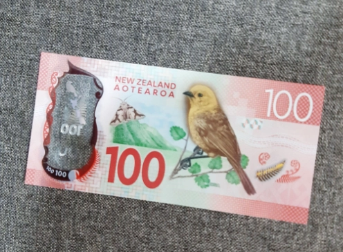 紐西蘭交通現金支付