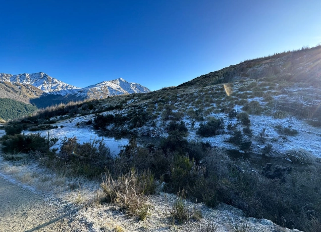但尼丁旅遊攻略