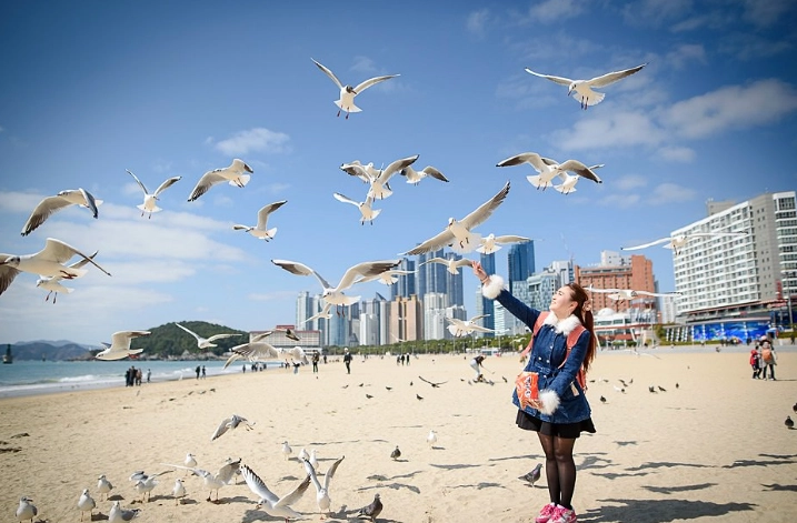 海雲台到西面時間