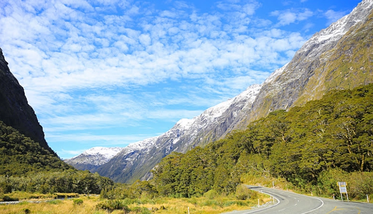 紐西蘭海關申報