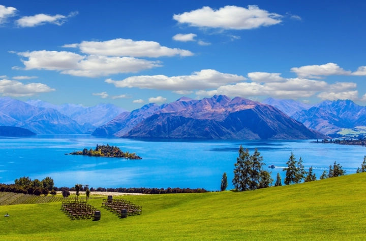 紐西蘭 入境 禁止攜帶物品