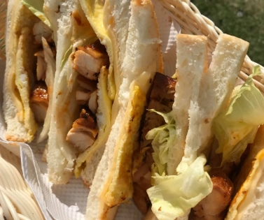 紐西蘭澳洲旅遊