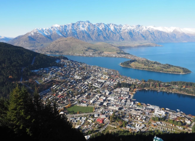 紐西蘭交通罰單查詢