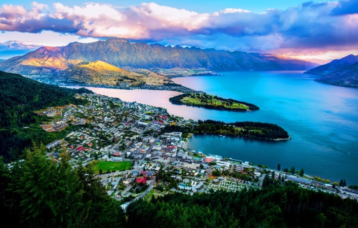 紐西蘭 海關 申報